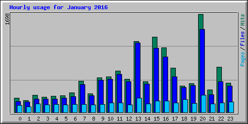 Hourly usage for January 2016